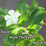 Freedom Of Choice To Cure Psoriasis