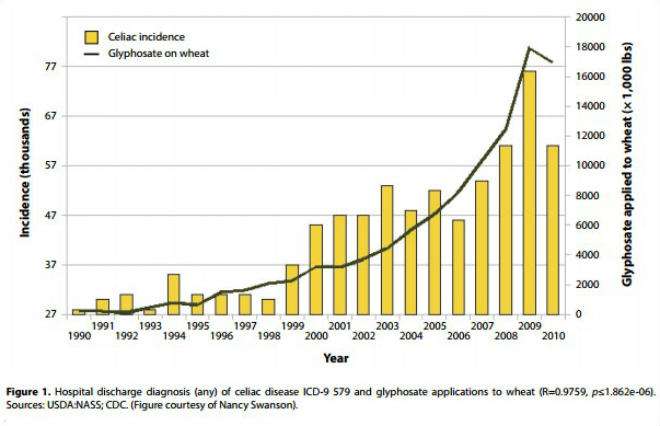 Celiac Chart