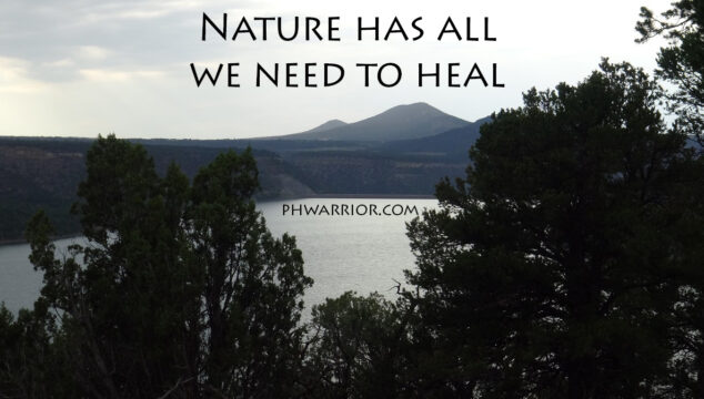 heal psoriasis naturally with the four elements and four pillars as your foundation